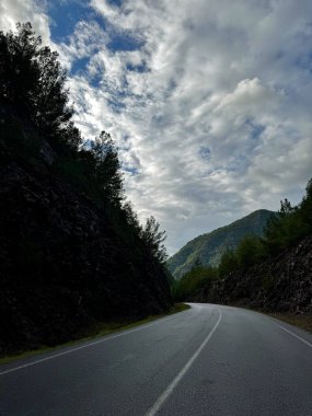 Dağlarda yol sonbahar ağaçlarını bulutlandırır.