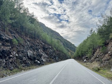 Dağlarda yol sonbahar ağaçlarını bulutlandırır.