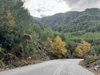 Dağlarda yol sonbahar ağaçlarını bulutlandırır.
