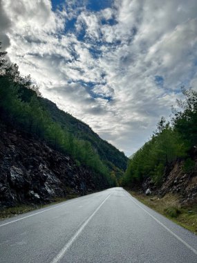 Dağlarda yol sonbahar ağaçlarını bulutlandırır.