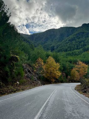Doğanın sonbahar renklerinde bir dağ yolu. Yüksek kalite fotoğraf
