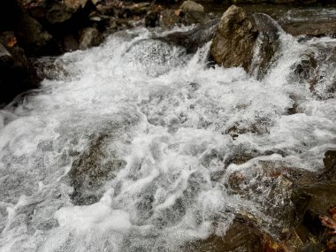Suyun dağ nehri akışı büyük taşlar. Yüksek kalite fotoğraf