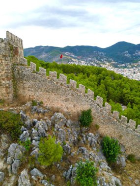 Kayalık kozalaklı ağaçların üzerindeki kale bir drondan görünüyor.