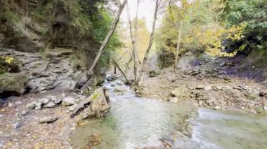 Ormanda şelale. Yüksek kalite 4k görüntü