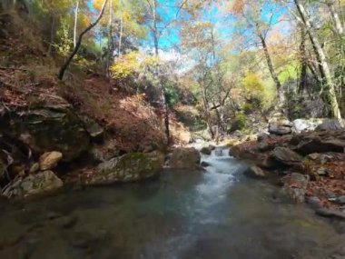 Fpv İHA Sonbaharda Dağ Nehri