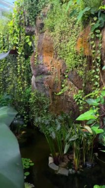 Tropikal kelebekler egzotik çiçek bitkileri. Yüksek kalite 4k görüntü