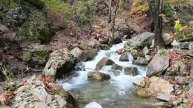 Fpv İHA Sonbaharda Dağ Nehri