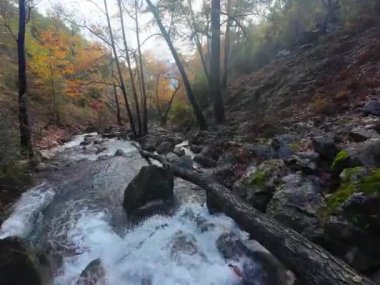 Fpv İHA Sonbaharda Dağ Nehri