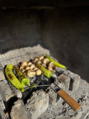 Vejetaryen şiş dışarıda pişirildi. Yüksek kalite fotoğraf