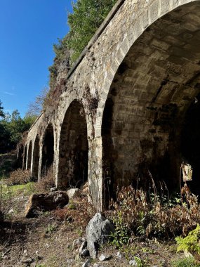 Sokak kedisi evin yakınında yemek yer. Yüksek kalite fotoğraf