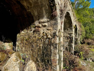 Sokak kedisi evin yakınında yemek yer. Yüksek kalite fotoğraf