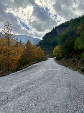 Yollar dağlarda sonbahar sarı ve yeşil ağaçlar