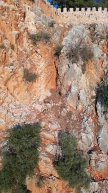 Alanya Kalesi sonbahar taşları ağacı. Yüksek kalite 4k görüntü