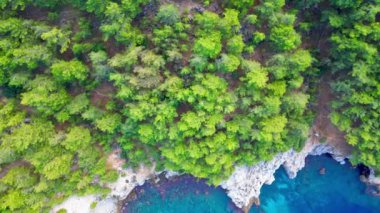 Drone manzaralı kumlu deniz taşlı yeşil ağaçlar. Yüksek kalite 4k görüntü