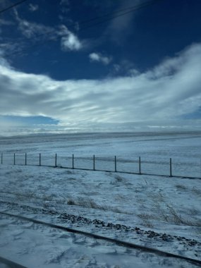 Ahırda ve otlakta yürüyüş yapan atlar. Yüksek kalite fotoğraf