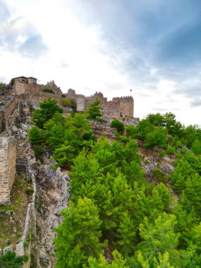 Kayalık kozalaklı ağaçların üzerindeki kale bir drondan görünüyor.