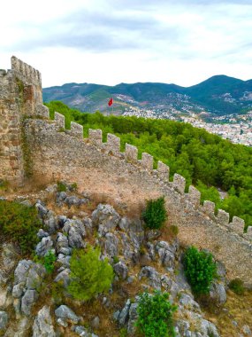 Kayalık kozalaklı ağaçların üzerindeki kale bir drondan görünüyor.