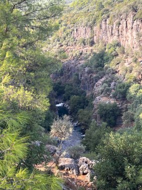 Kanyon vahşi doğayı sallıyor. Yüksek kalite fotoğraf