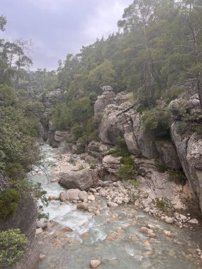 Kanyon vahşi doğayı sallıyor. Yüksek kalite fotoğraf