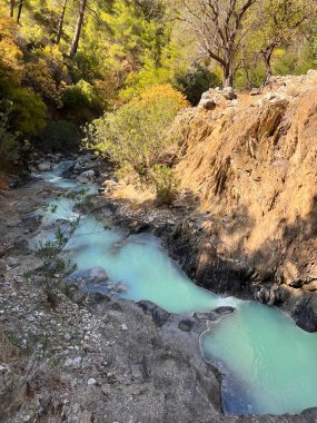 Doğanın arka planına karşı dağlarda ilkbahar. Yüksek kalite fotoğraf