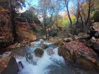 Fpv İHA Sonbaharda Dağ Nehri