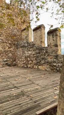 Alanya Kalesi sonbahar taşları ağacı. Yüksek kalite 4k görüntü