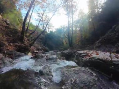 Fpv İHA Sonbaharda Dağ Nehri