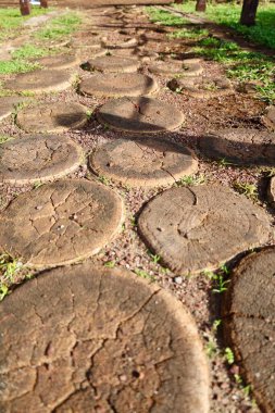 Dışarıdaki ahşap yol. Yüksek kalite fotoğraf