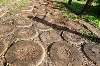 Dışarıdaki ahşap yol. Yüksek kalite fotoğraf