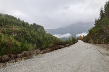 Dağ sisi yolu. Yüksek kalite fotoğraf