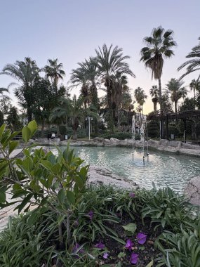 Park tropikal bitkiler tatil beldesi. Yüksek kalite fotoğraf
