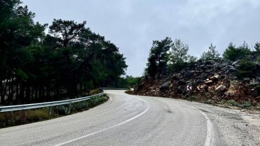 Dönek orman yolu. Yüksek kalite fotoğraf