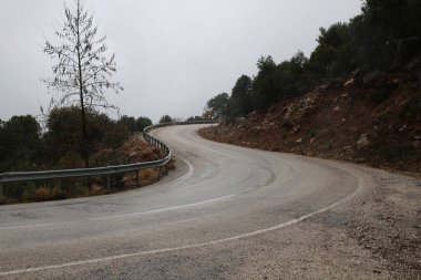 Dönek orman yolu. Yüksek kalite fotoğraf