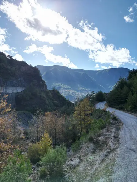 Sonbahar tarlası kuru çimenler çıplak ağaç bulutları. Yüksek kalite fotoğraf 