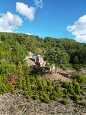 Evim dağlarda sonbahar ağaçları doğaya uzak mesafede. 
