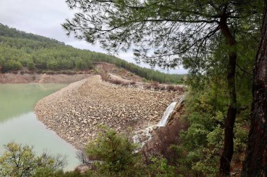 Çam Ormanı Gölü. Yüksek kalite fotoğraf