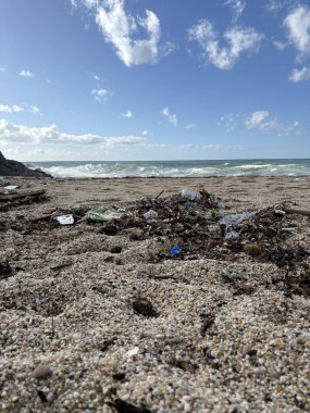 Plaj kirliliği ekolojisi. Yüksek kalite fotoğraf