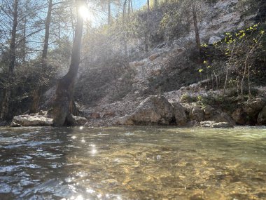 Dağ nehri sonbahar güneşi parlıyor. Yüksek kalite fotoğraf