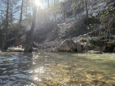 Dağ nehri sonbahar güneşi parlıyor. Yüksek kalite fotoğraf