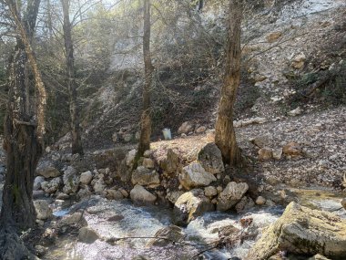 Dağ nehri sonbahar güneşi parlıyor. Yüksek kalite fotoğraf