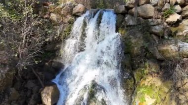 Şelale temiz havuz şelalesi ağaçları sonbahar dağını taşır. Yüksek kalite 4k görüntü