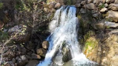 Şelale temiz havuz şelalesi ağaçları sonbahar dağını taşır. Yüksek kalite 4k görüntü