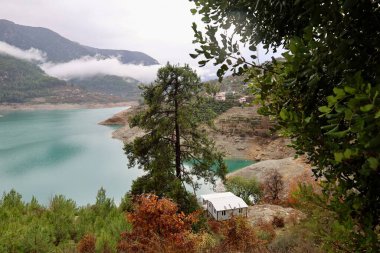 Göl ağacı kulübesi. Yüksek kalite fotoğraf