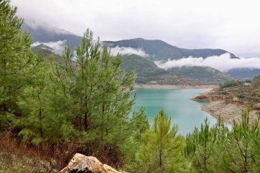 Dağlar göl ağaçları. Yüksek kalite fotoğraf