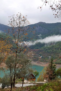 Dağlar göl ağaçları. Yüksek kalite fotoğraf