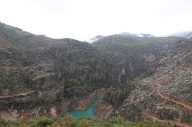 Dağlar, ağaçlar sis. Yüksek kalite fotoğraf