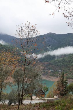 Dağlar göl ağaçları. Yüksek kalite fotoğraf