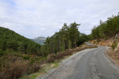 Kırsal çakıl yolu. Yüksek kalite fotoğraf