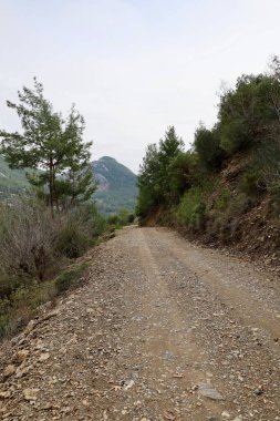 Kırsal çakıl yolu. Yüksek kalite fotoğraf