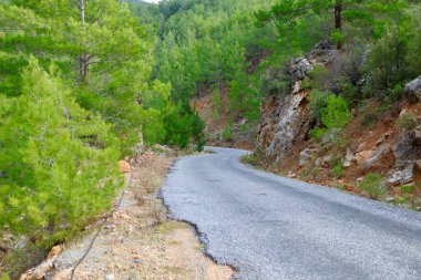 Kırsal çakıl yolu. Yüksek kalite fotoğraf